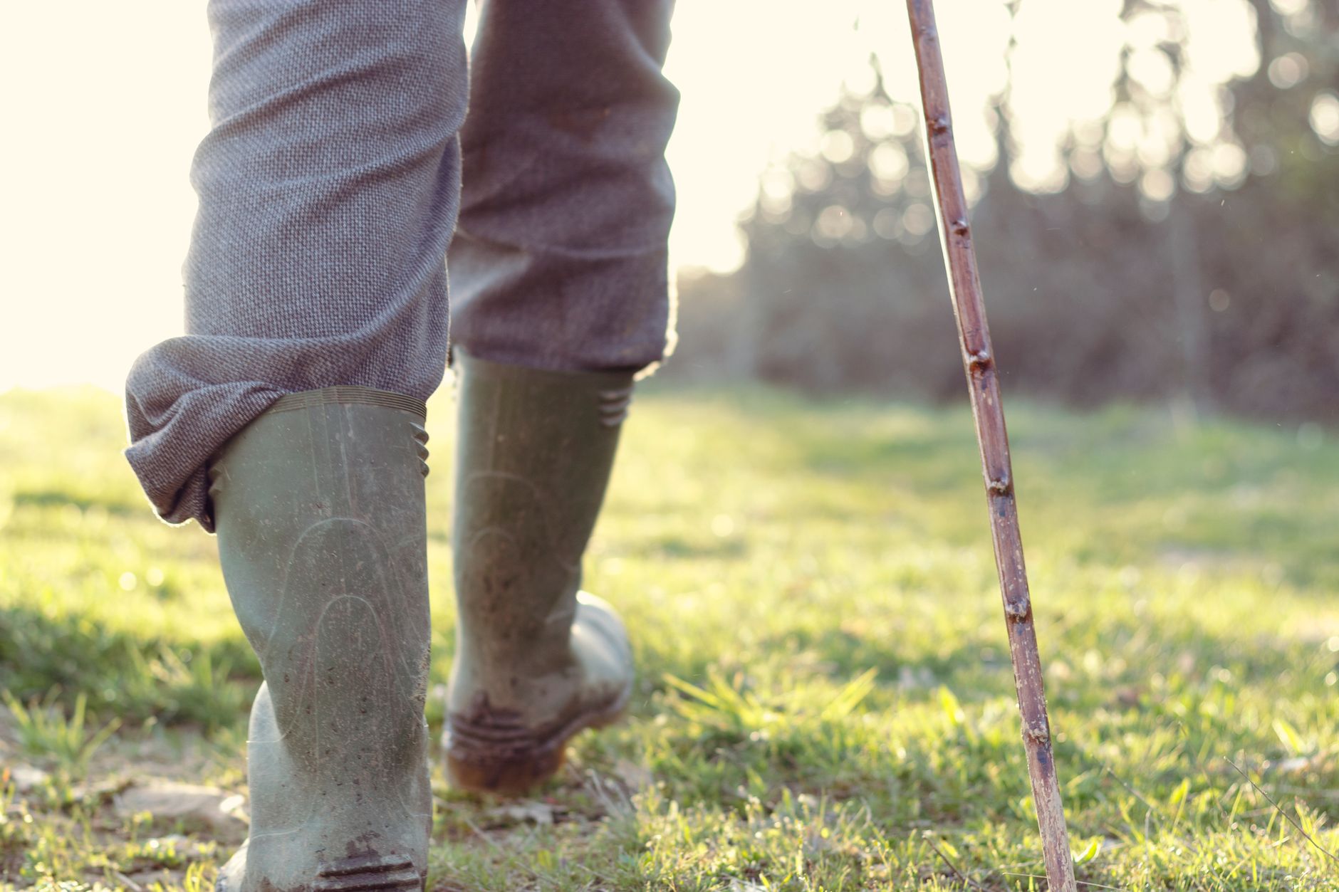 Why Walking Matters for Bone Health, Cardiovascular Fitness, and Maintaining Independence in Older Adults