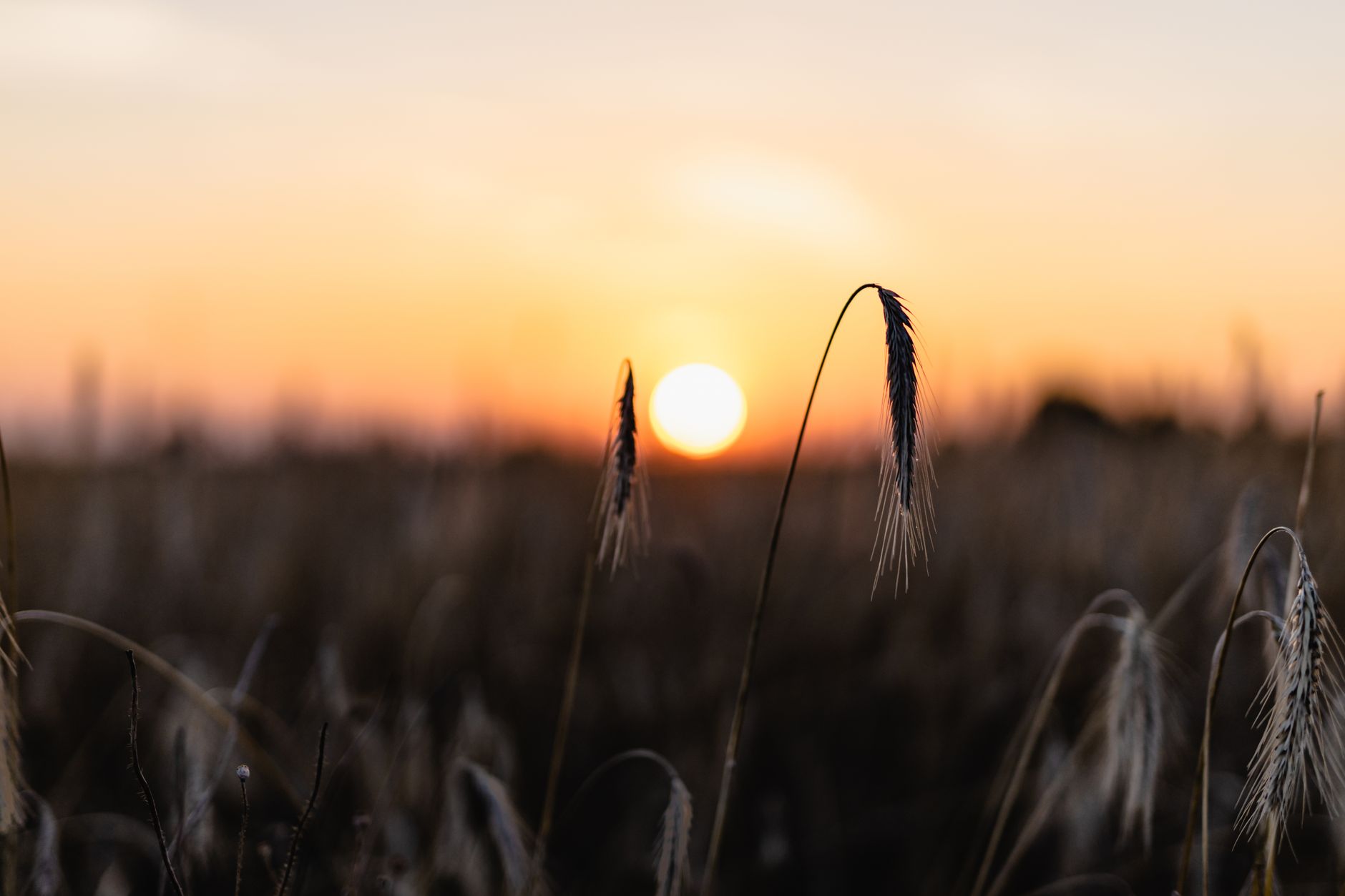 Why Your Evening Hours Matter for Sleep Quality and Physical Recovery